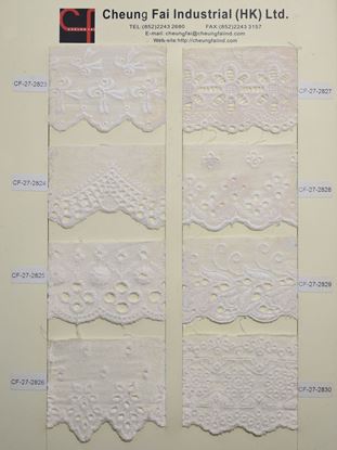 Picture of CF-27-2823