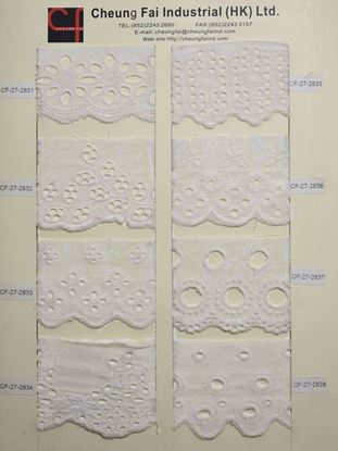 Picture of CF-27-2831