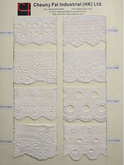 Picture of CF-27-2831