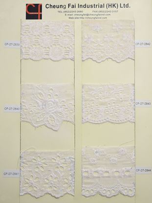 Picture of CF-27-2839