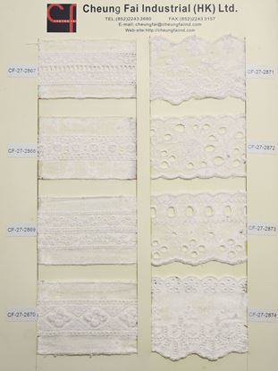 Picture of CF-27-2867