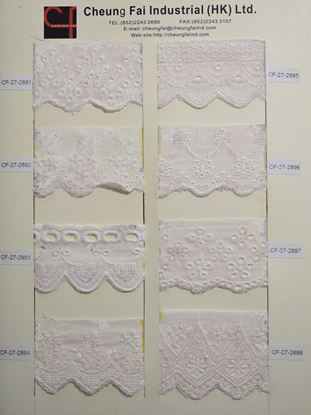 Picture of CF-27-2891