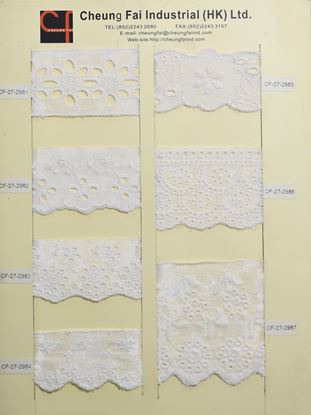 Picture of CF-27-2981