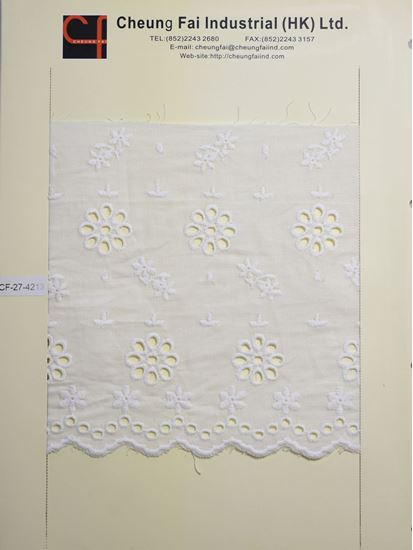 Picture of CF-27-4213