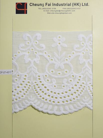 Picture of CF-27-4217