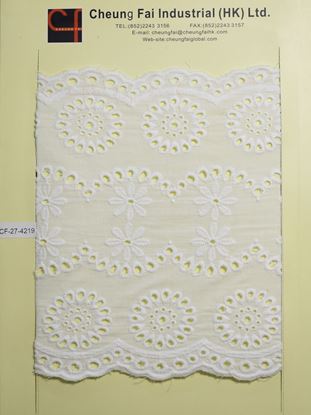 Picture of CF-27-4219