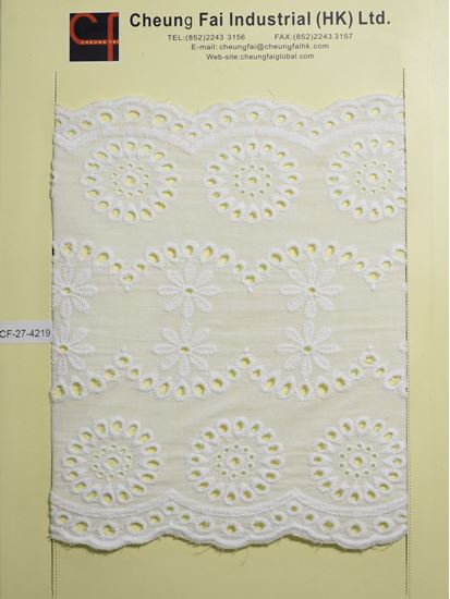 Picture of CF-27-4219