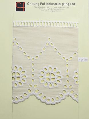 Picture of CF-27-4220