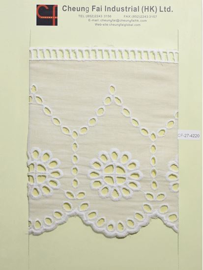 Picture of CF-27-4220