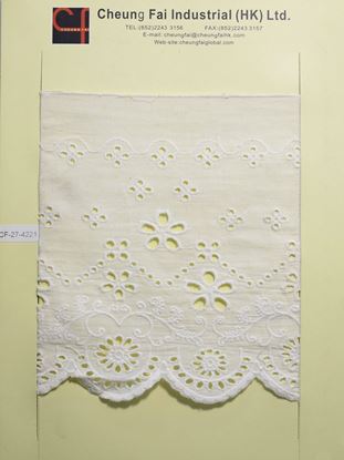 Picture of CF-27-4221