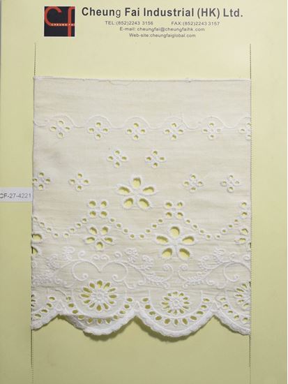 Picture of CF-27-4221